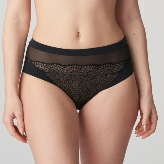 Sophora Full Brief - Image 2