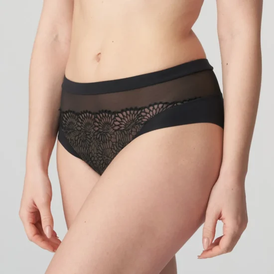Sophora Full Brief