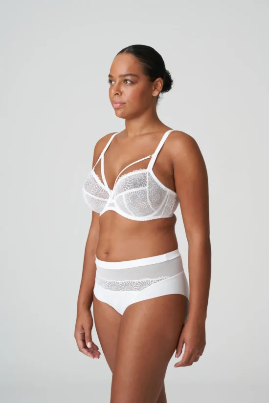 Sophora Full Brief - Image 12
