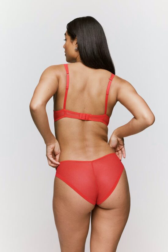 Chalmers Padded Bra - Image 3
