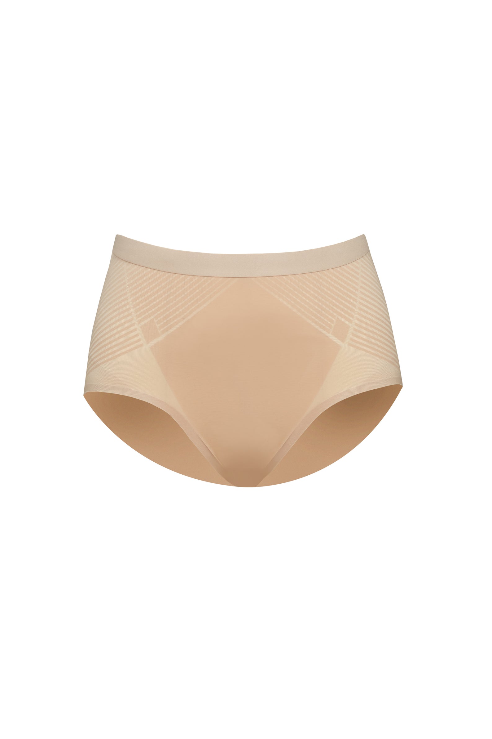 Thinstincts 2.0 Brief » Stephanie's Boutique Lingerie